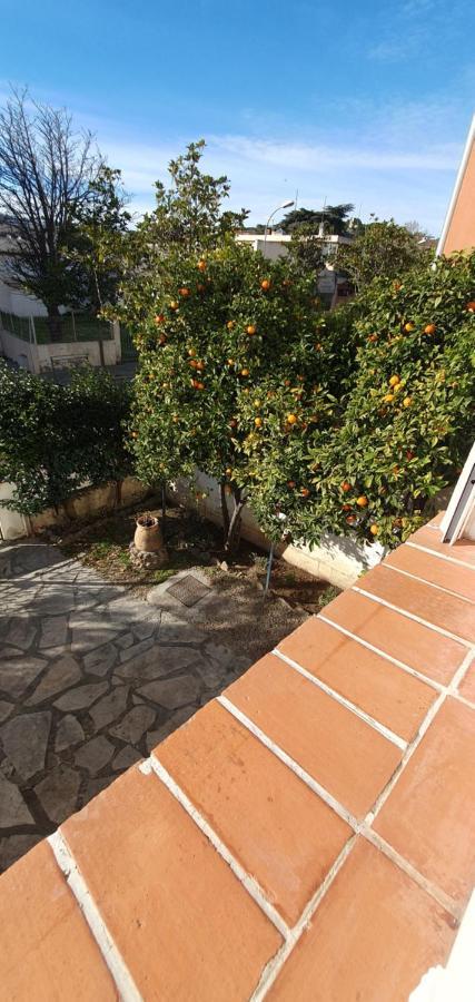 Appartement Entier Au Dessus De Villa, Climatisation Reversible Poele A Bois Tres Chaleureux , Wi Fi Parking Privee Gratuit Situation 500 M, Plage Et Centre Ville サナリー・シュル・メール エクステリア 写真